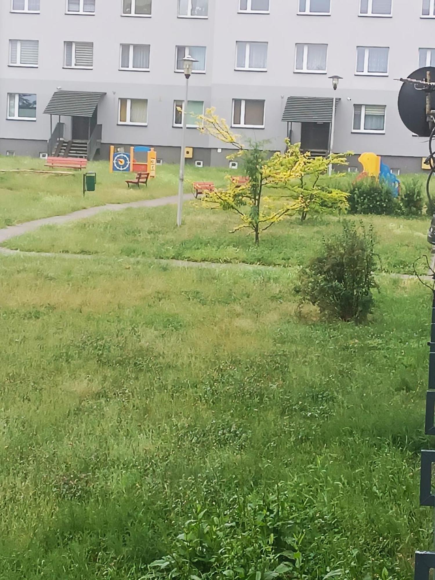 Apartment Cosy Space Tychy